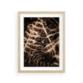 Plakat w ramie 30x40 - Liście i Paprocie - suche liście, paprocie - rama drewno
