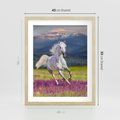 Plakat w ramie 40x50 - Koń Góry: Spotkanie z Wielką Przyrodą - koń, góry - rama drewno