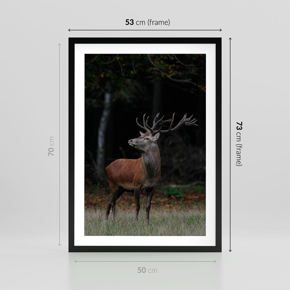 Plakat w ramie 50x70 - Spotkanie z naturą - jeleń, las - rama czarna