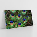 Obraz na płótnie 120x60 - Pawi Ogon - Piękno i Wspaniałość - paw, pióra
