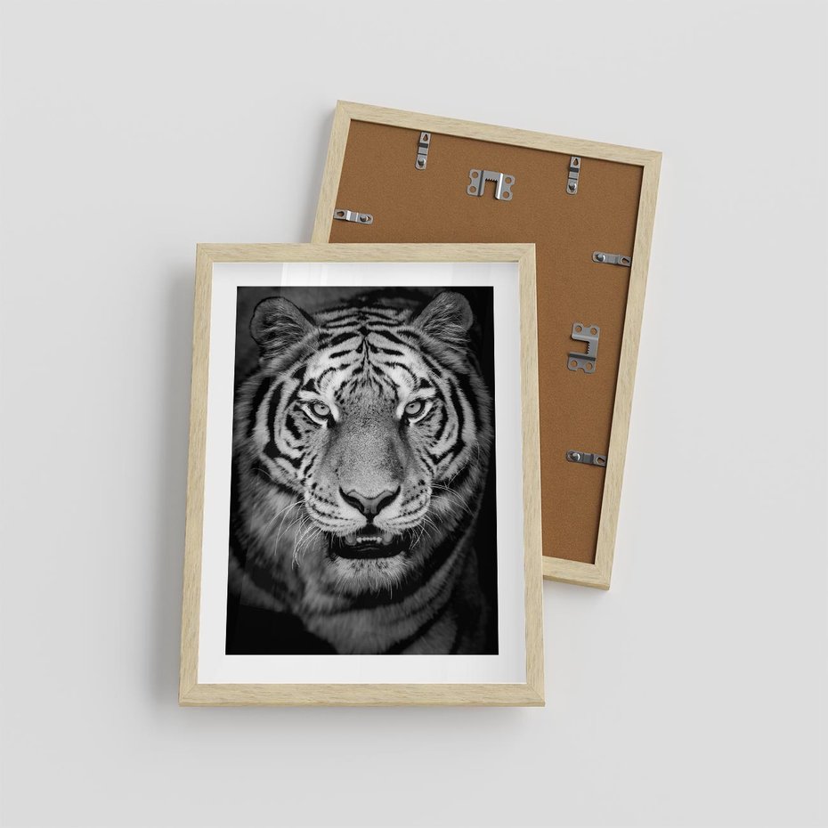 Plakat w ramie 30x40 - Tygrys Czarno-Biały: Siła i Delikatność - tygrys, czarno - rama drewno
