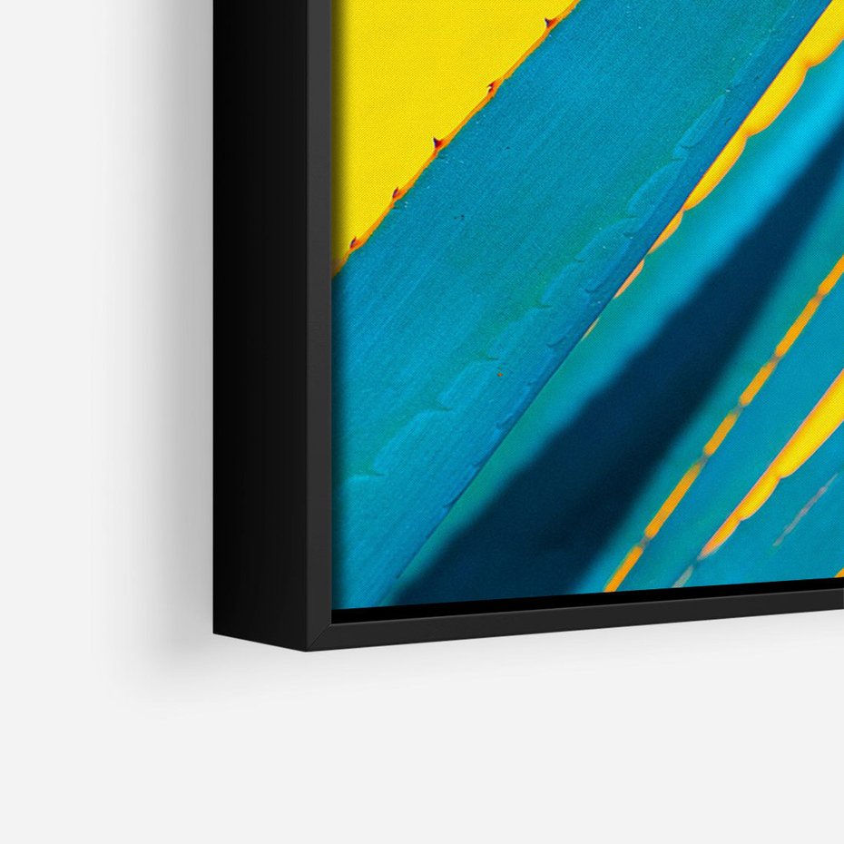 Obraz w ramie 50x70 - Świeżość Natury - aloes, liście - rama czarna