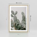 Plakat w ramie 50x70 - Imponujący Kaktus - duży kaktus, opuncja - rama drewno