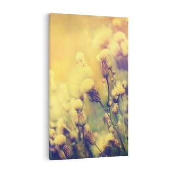 Obraz na płótnie 80x120 - Natura w pełnym rozkwicie - łąka, natura