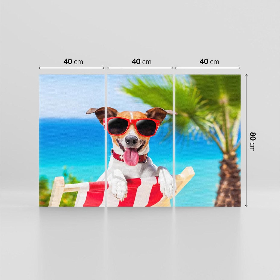 Obraz na płótnie 120x80 - Wakacyjny pies: Słoneczne przygody - pies, wakacje