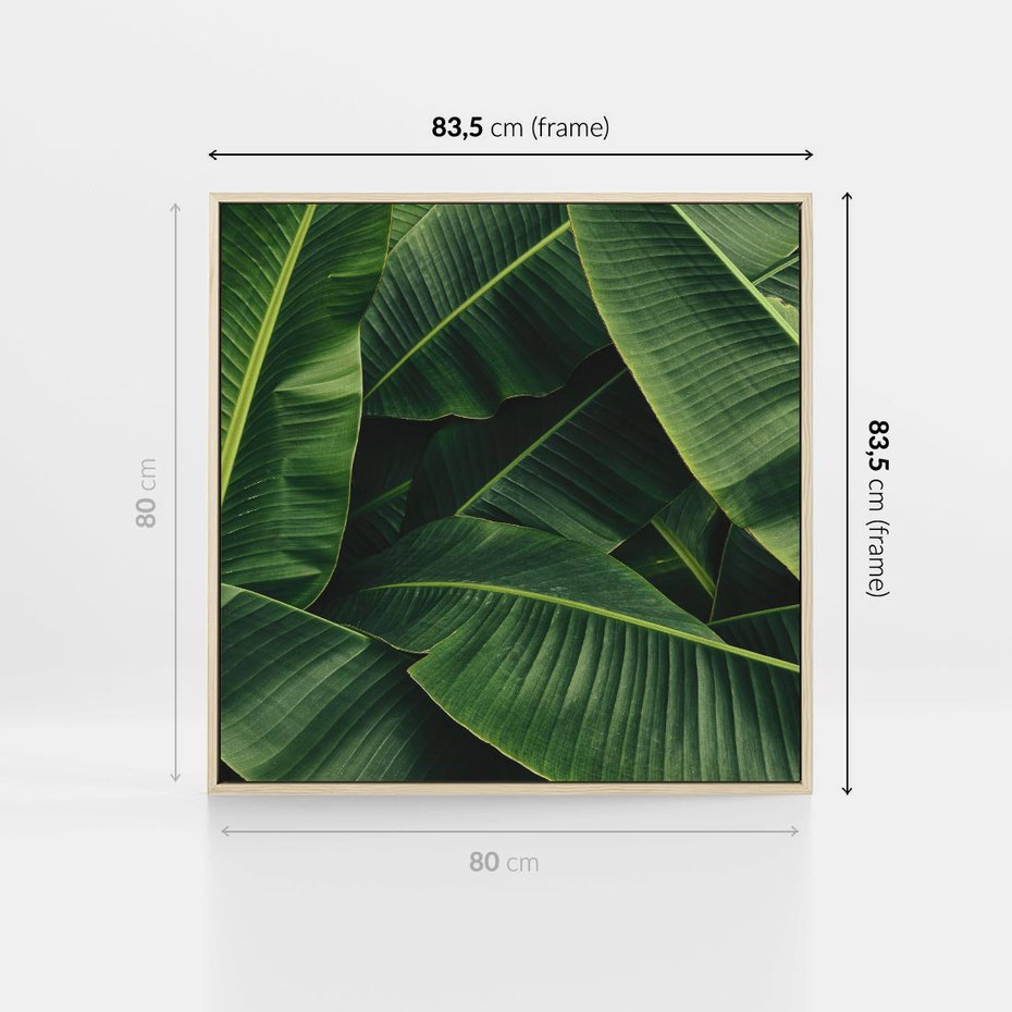 Obraz w ramie 80x80 - Zaklęta roślinna ekspresja - liście bananowca, gęsto ułożone - rama drewno