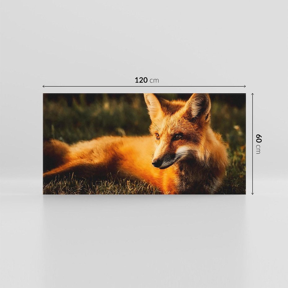 Obraz na płótnie 120x60 - Lisek w lesie - lis, lisek