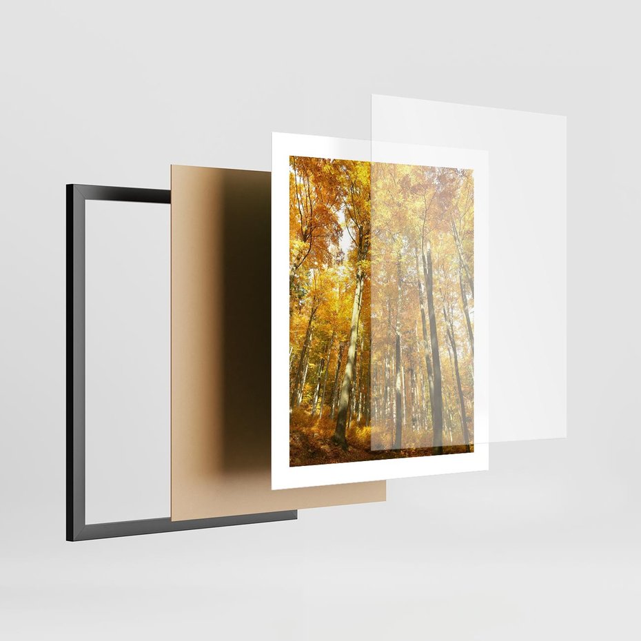 Plakat w ramie 40x50 - Jesienny Las - Kolorowa Paleta Natury - jesień, drzewa - rama czarna