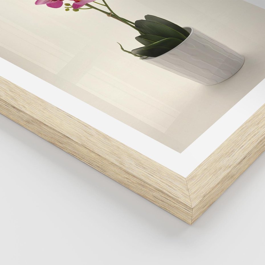 Plakat w ramie 50x70 - Delikatność storczyka orchidei - storczyk, orchidea - rama drewno