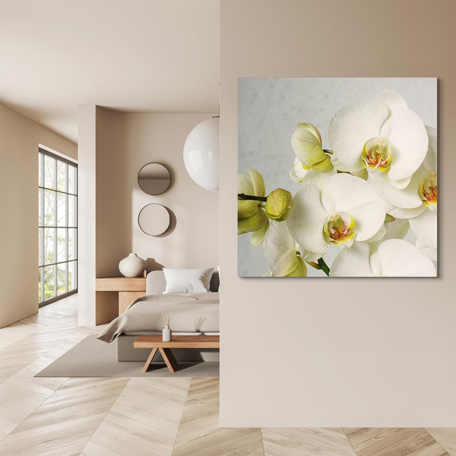 Obraz na płótnie 60x60 - Elegancka uroda orchidei - orchidea, kwiaty
