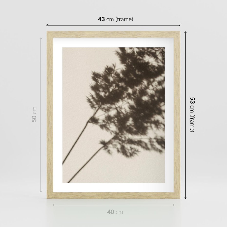 Plakat w ramie 40x50 - Tajemniczy Cień Traw - cień traw, na ścianie - rama drewno