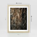 Plakat w ramie 40x50 - Tekstura Drewna: Zbliżenie - zbliżenie na pień drzewa, tekstura - rama drewno
