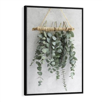 Obraz w ramie 70x100 - Uwodzicielska zieleń eukaliptusa - eukaliptus, zielone - rama czarna