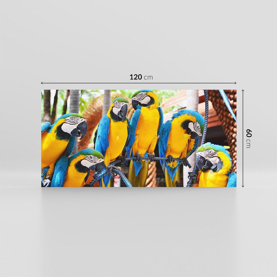 Obraz na płótnie 120x60 - Kolorowa parada papug - papuga, papugi