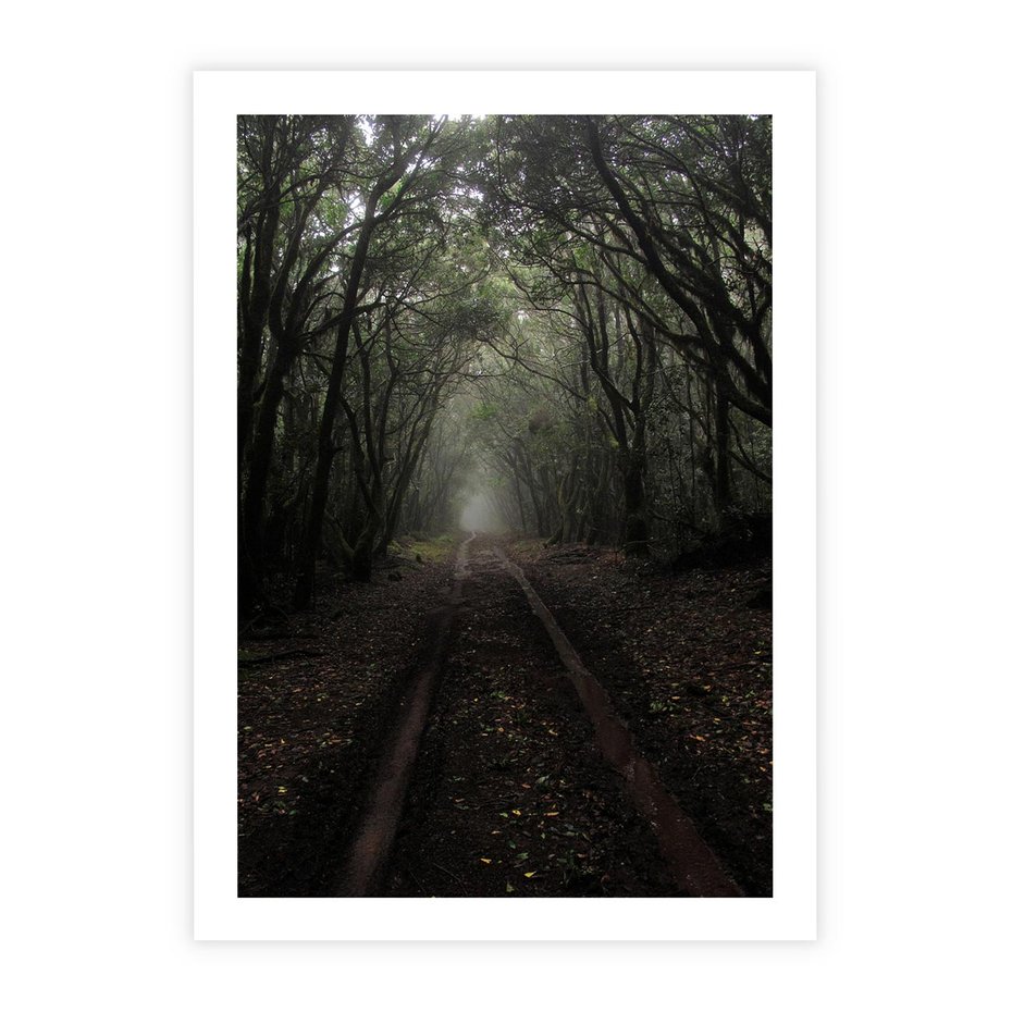 Plakat bez ramy 40x50 - Urok Drogi - las, droga