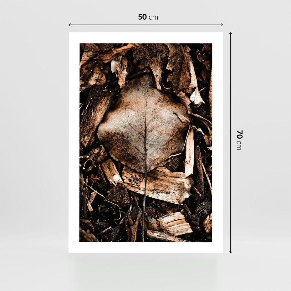 Plakat bez ramy 50x70 - Samotny Liść - liść, brąz