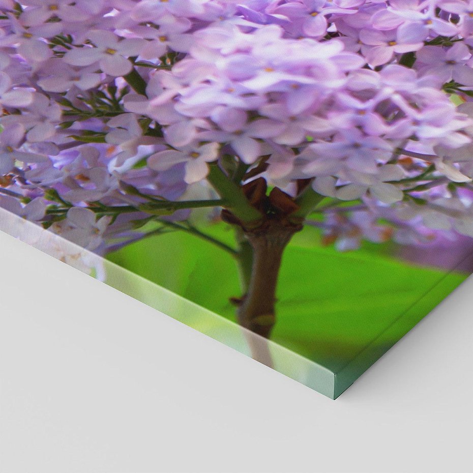 Obraz na płótnie 100x50 - Delikatny liliowy dotyk - lilie, fiolet