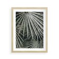 Plakat w ramie 40x50 - Ujęcie Tropikalnej Natury - palmy, liście palmy - rama drewno