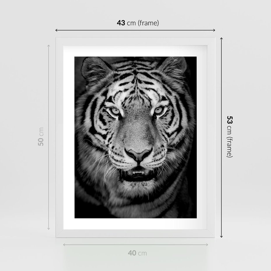 Plakat w ramie 40x50 - Tygrys Czarno-Biały: Siła i Delikatność - tygrys, czarno - rama biała