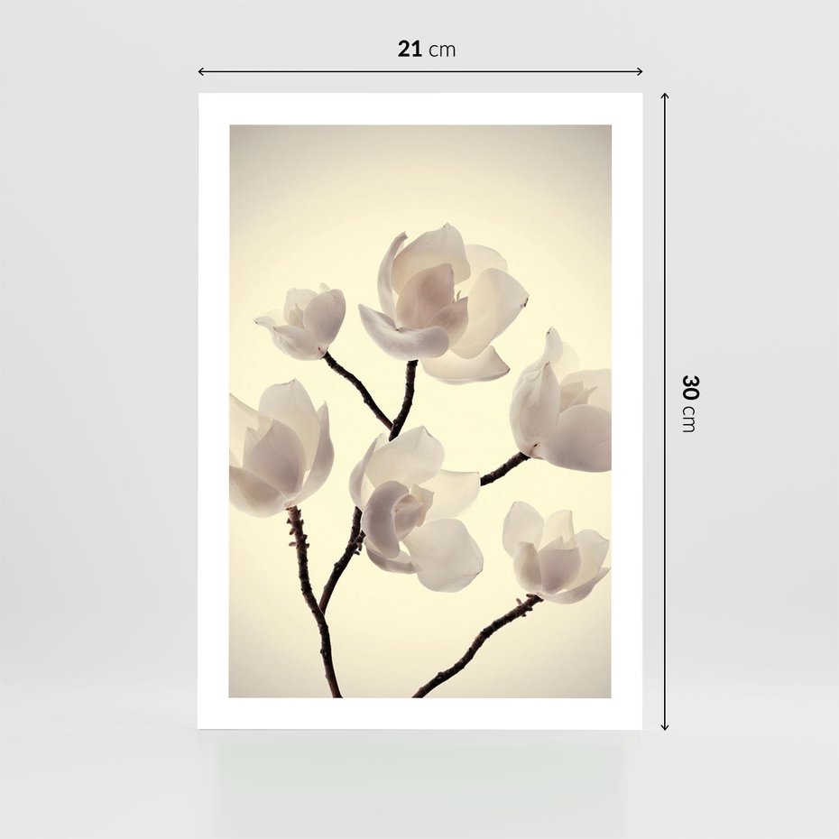 Plakat bez ramy 21x30 - Elegancja Natury - magnolia, białe