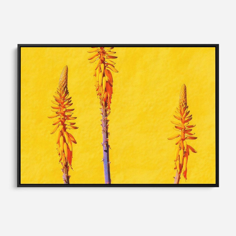 Obraz w ramie 100x70 - Radość Natury - kolor, kwiaty - rama czarna