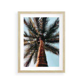 Plakat w ramie 50x70 - Rajskie Inspiracje: Palma na Niebie - palma, na tle nieba - rama drewno