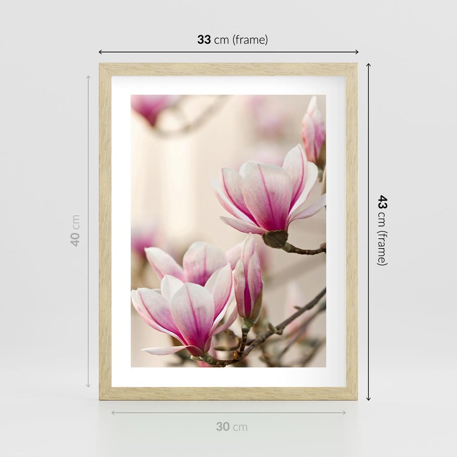 Plakat w ramie 30x40 - Urok Magnolii - magnolie, kwiaty - rama drewno