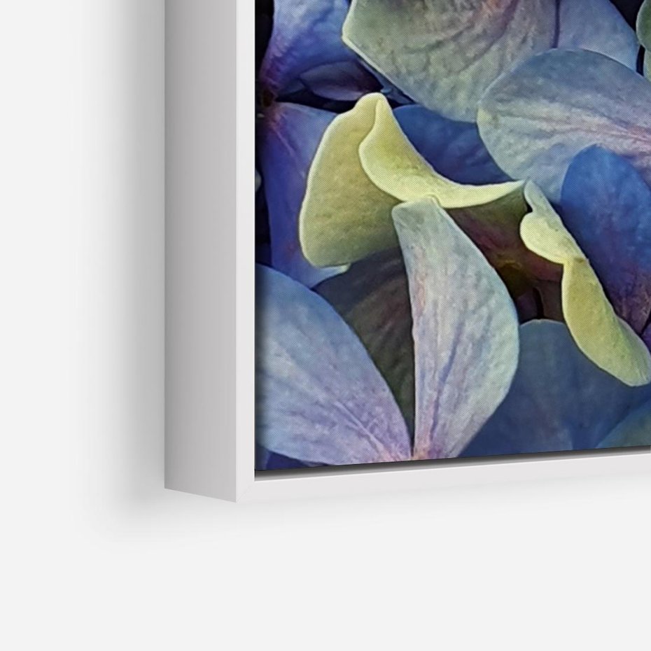 Obraz w ramie 120x80 - Hortensja - delikatność kwiatów - hortensja, kwiaty - rama biała