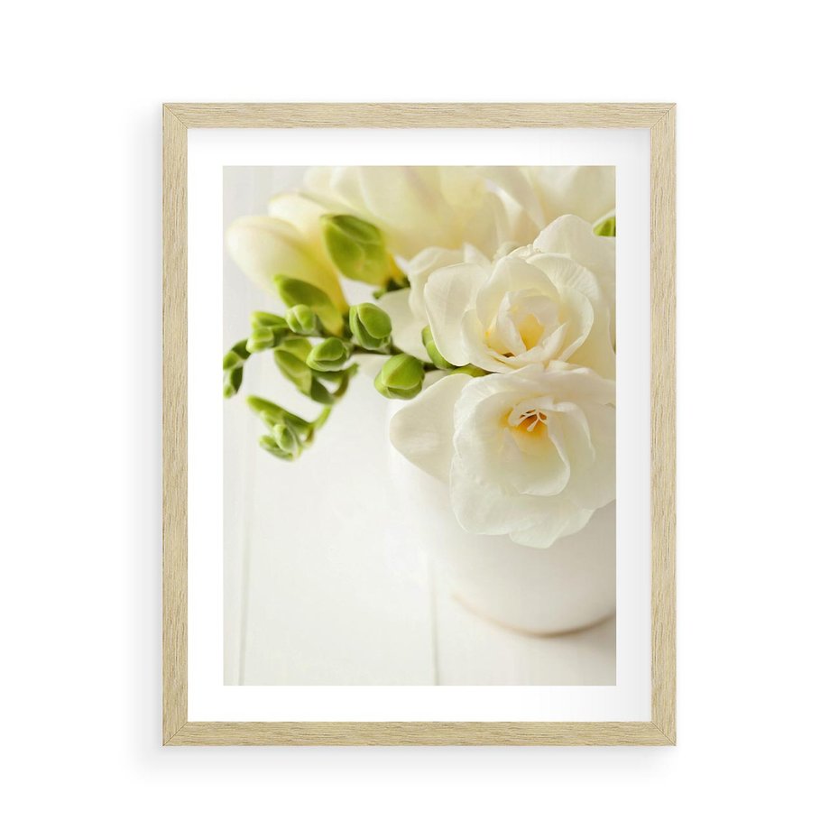Plakat w ramie 40x50 - Subtelność białych frezji - frezja, białe - rama drewno