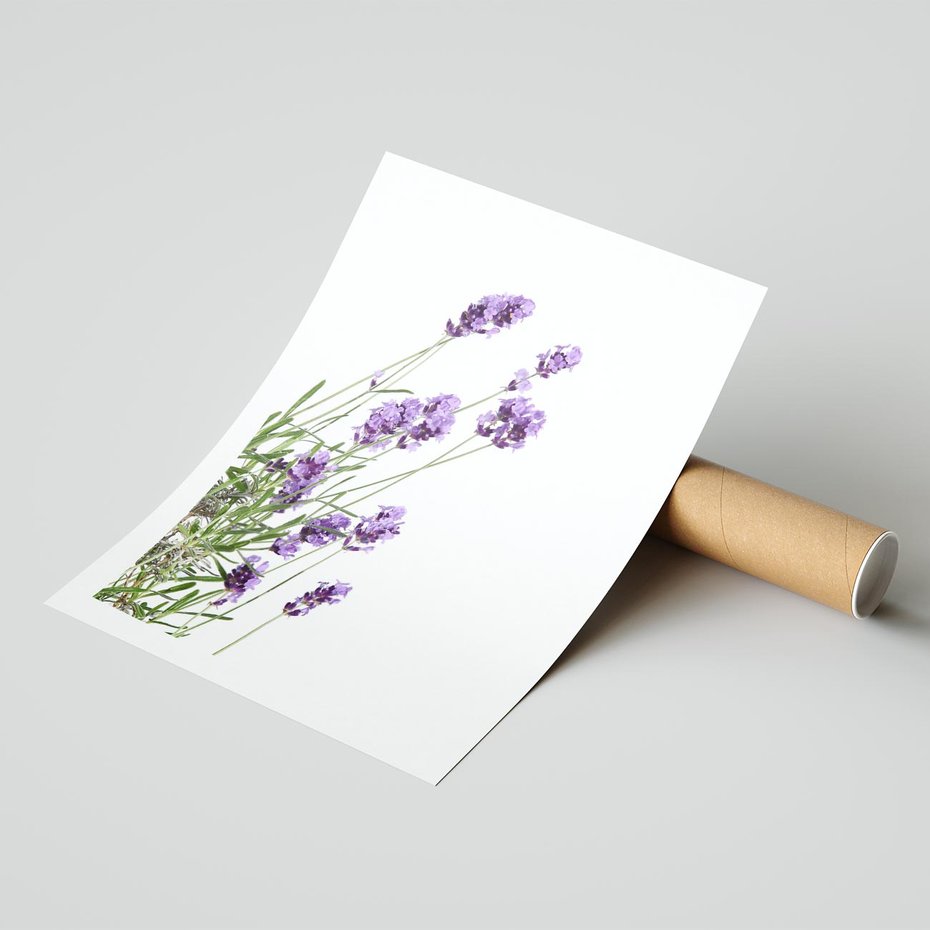 Plakat bez ramy 50x70 - Delikatny Urok - lawenda, kwiaty