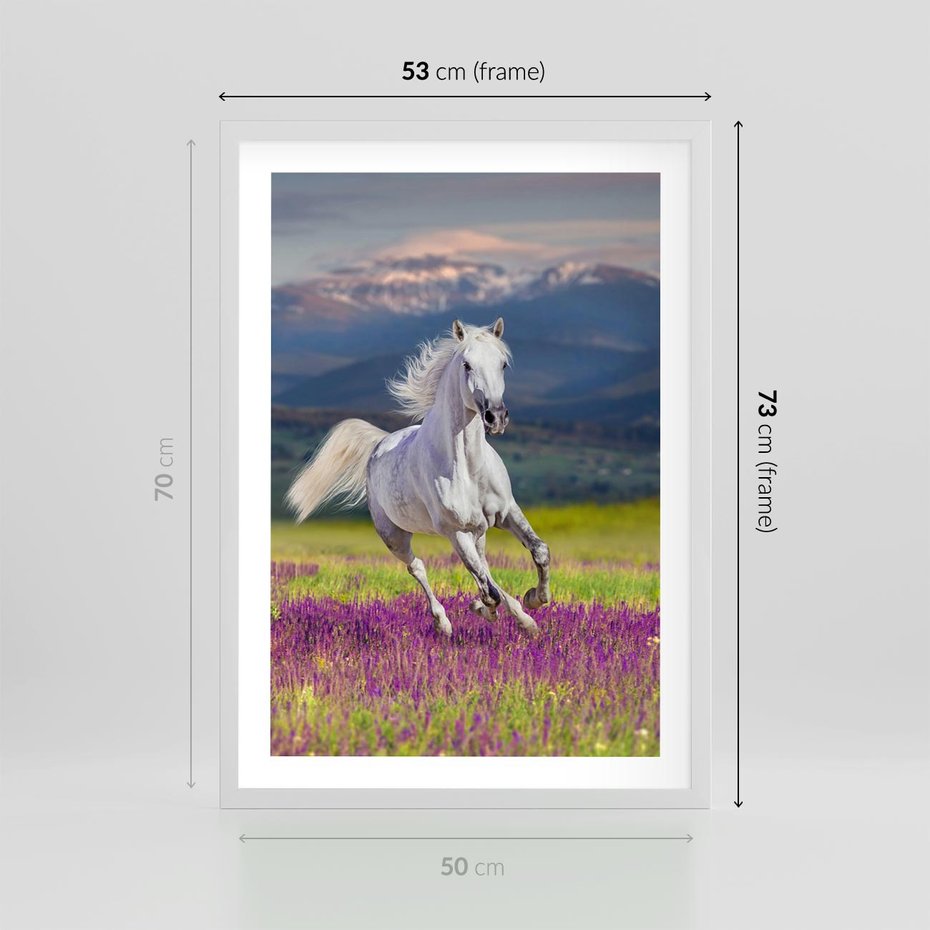 Plakat w ramie 50x70 - Koń Góry: Spotkanie z Wielką Przyrodą - koń, góry - rama biała