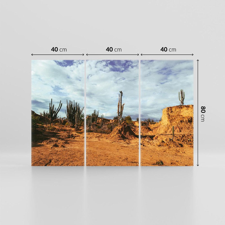 Obraz na płótnie 120x80 - Skarby Pustynnego Kanionu - pustynia, kaktusy