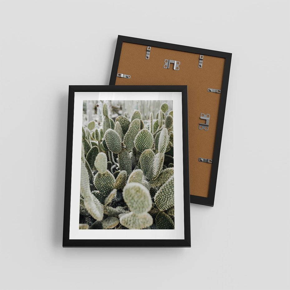 Plakat w ramie 30x40 - Kaktusowa Harmonia - kaktusy, fotografia - rama czarna