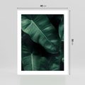 Plakat bez ramy 40x50 - Liście Bananowca - minimalizm, zielone liście bananowca