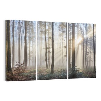 Obraz na płótnie 120x80 - Magiczne zaklęcie: Las pełen drzew - las, drzewa