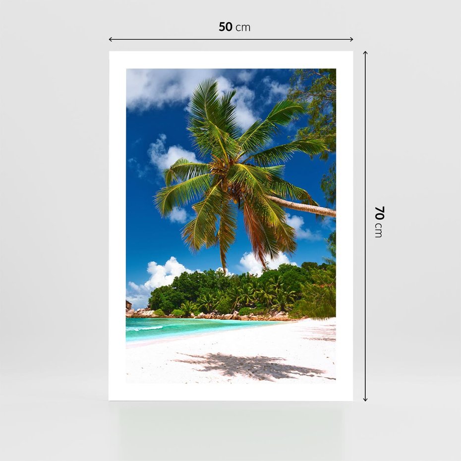 Plakat bez ramy 50x70 - Oaza palm na plaży - palma, plaża