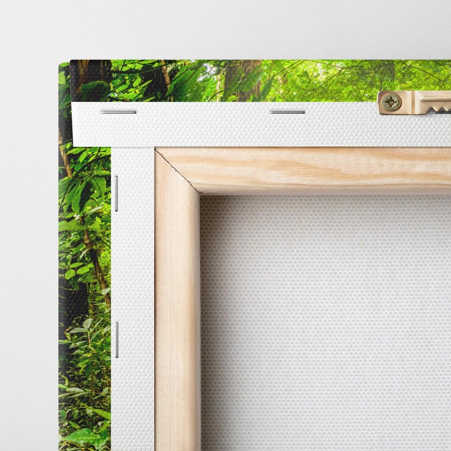 Obraz na płótnie 120x80 - Współistnienie z naturą - drzewa, las