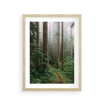 Plakat w ramie 40x50 - Mgliste Marzenia - artystyczna fotografia, las - rama drewno