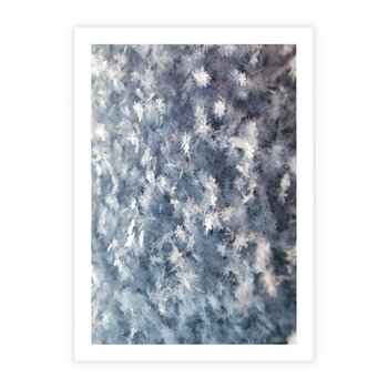 Plakat bez ramy 30x40 - Magia Śnieżnych Kryształków - śnieg, szron