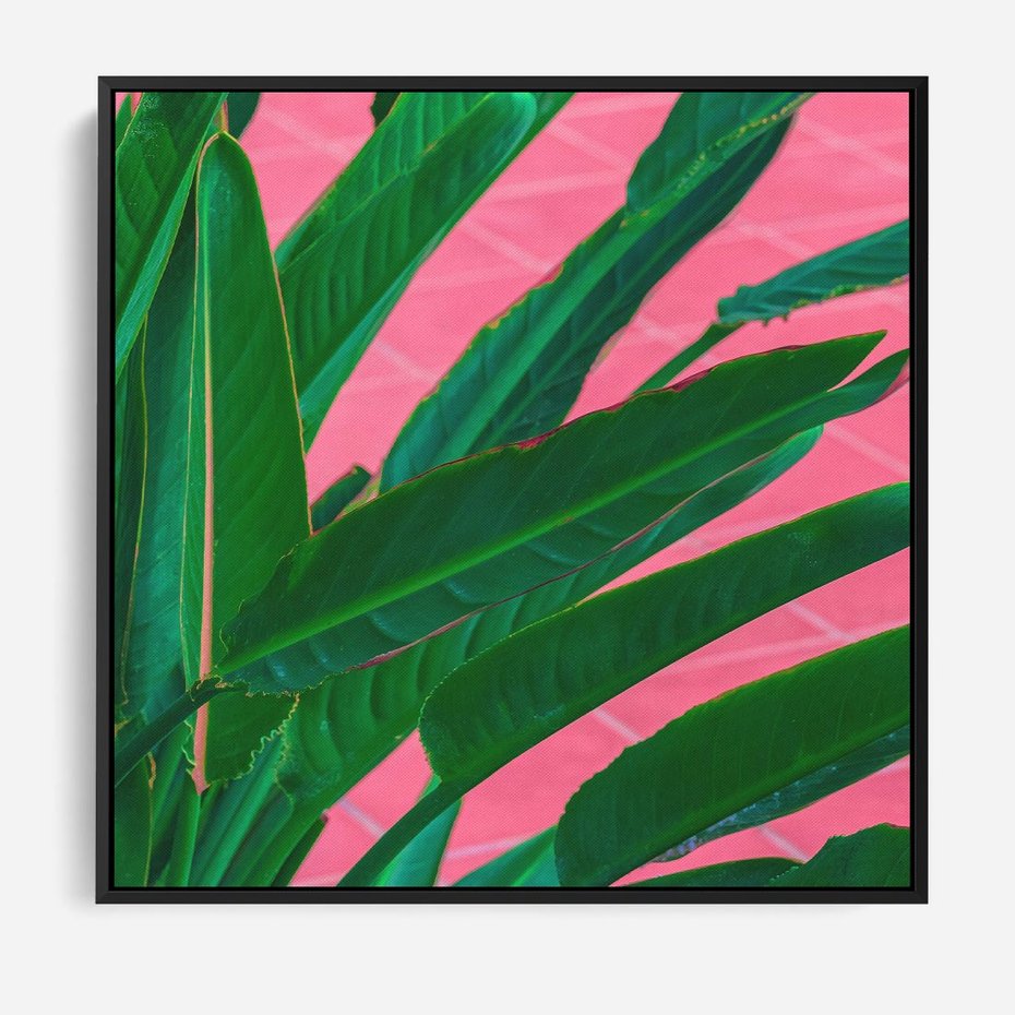 Obraz w ramie 50x50 - Odezwij się do przeszłości - liście, retro - rama czarna