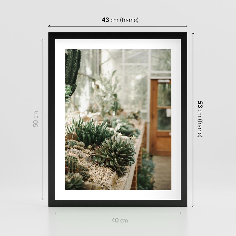 Plakat w ramie 40x50 - Sukulenty w Szklarni - sukulenty, w szklarni - rama czarna