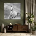 Obraz na płótnie 30x30 - Elegancja w Czarno-Białym - koń, biało