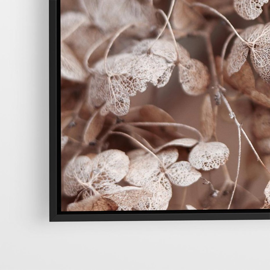 Obraz w ramie 70x50 - Przemijająca Piękność - fotografia, zbliżenie - rama czarna