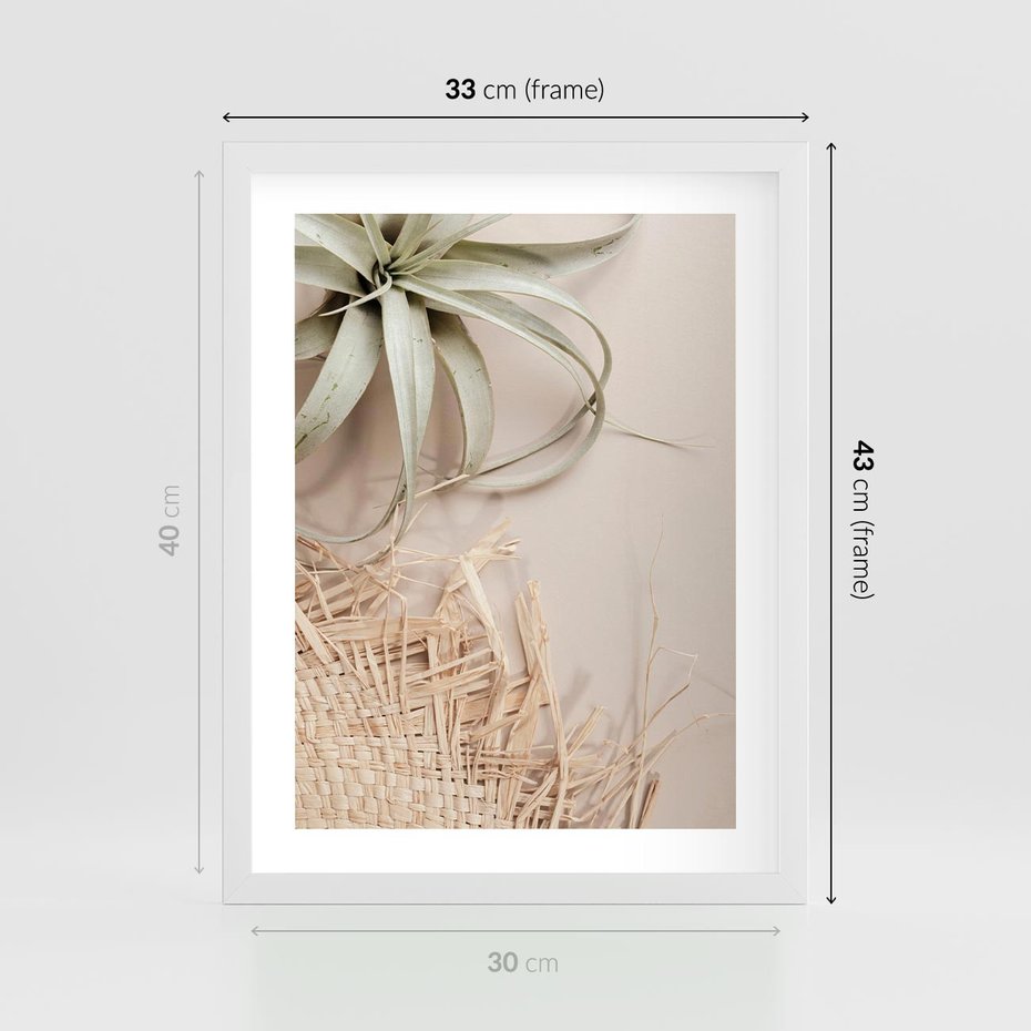 Plakat w ramie 30x40 - Aloes w Stylu Boho - kompozycja, wiklina - rama biała