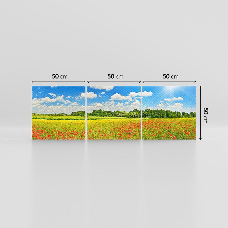 Obraz na płótnie 150x50 - Malownicze maki na łące - maki, łąka