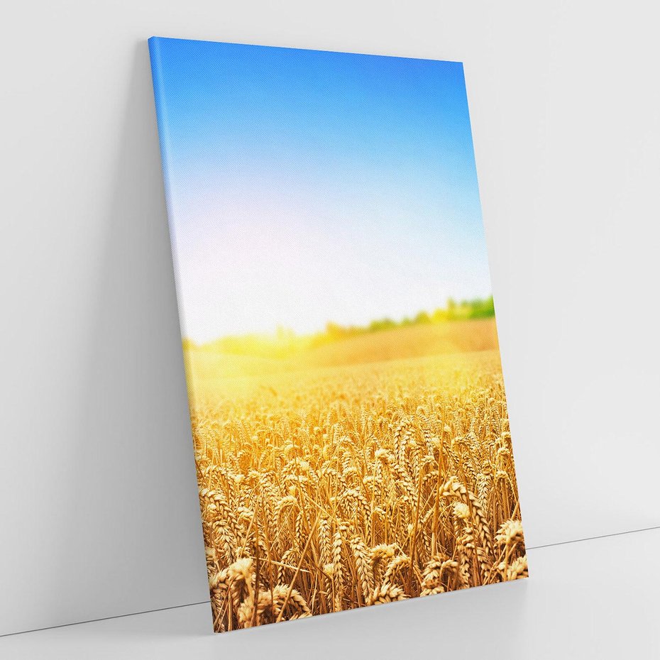 Obraz na płótnie 80x120 - Żyzne Pola - pole, pszenicy