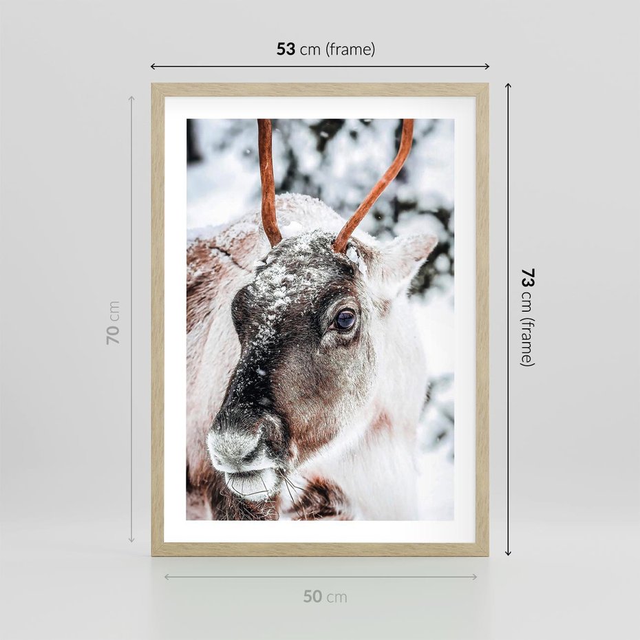 Plakat w ramie 50x70 - Renifer w Zimowej Krainie - renifer, zima - rama drewno