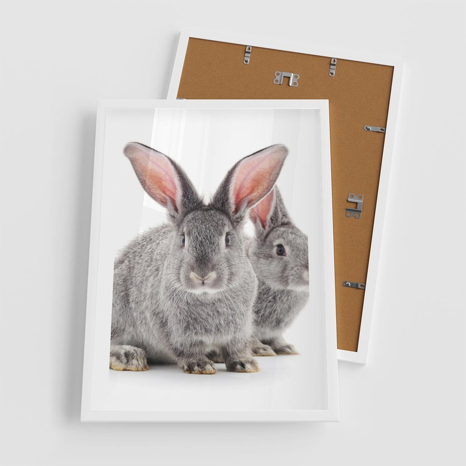 Plakat w ramie 50x70 - Uroczy królik wśród natury - królik, zając - rama biała