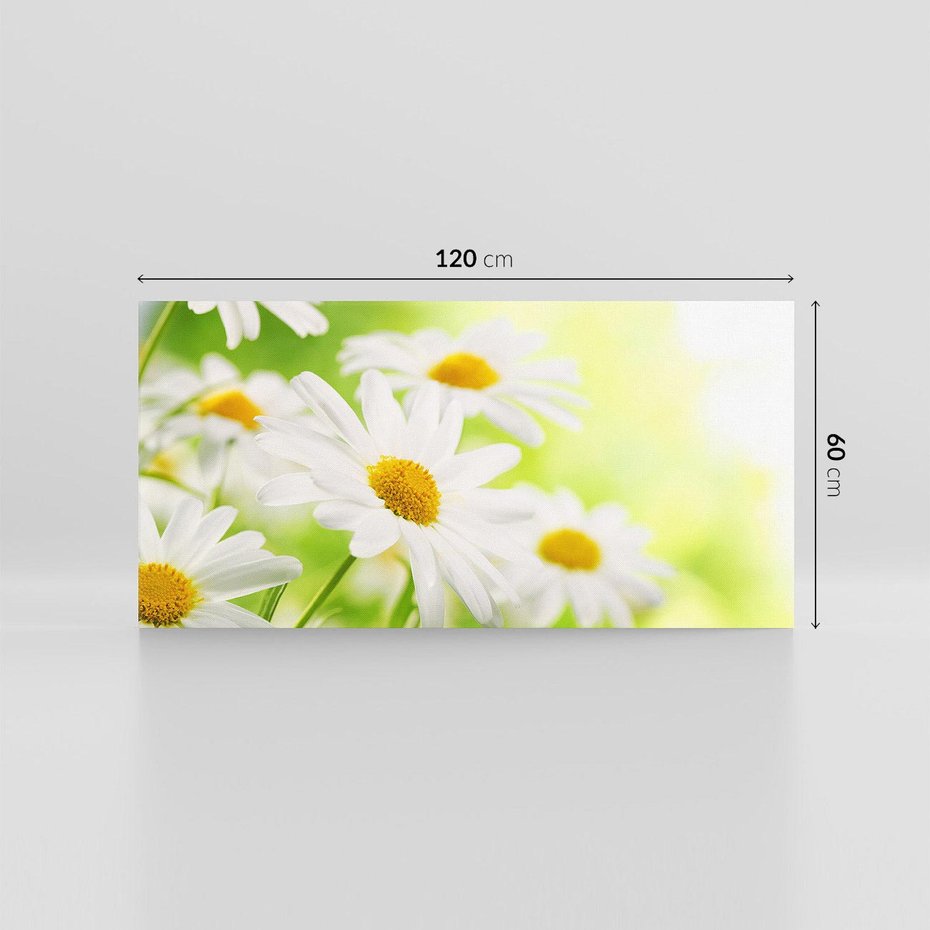 Obraz na płótnie 120x60 - Stokrotka: delikatność natury - stokrotka, kwiat