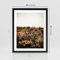 Plakat w ramie 40x50 - Krajobraz W Naturze: Beże i Brązy - suche krzewy, natura - rama czarna